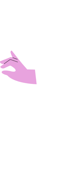 demo-attachment-310-Shape